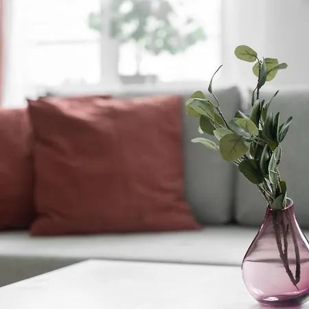 Kamienica Centrum Nr 12 Apartament Szczecin