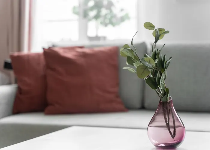 Kamienica Centrum Nr 12 Apartment Szczecin